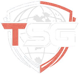 Transnational Security Group